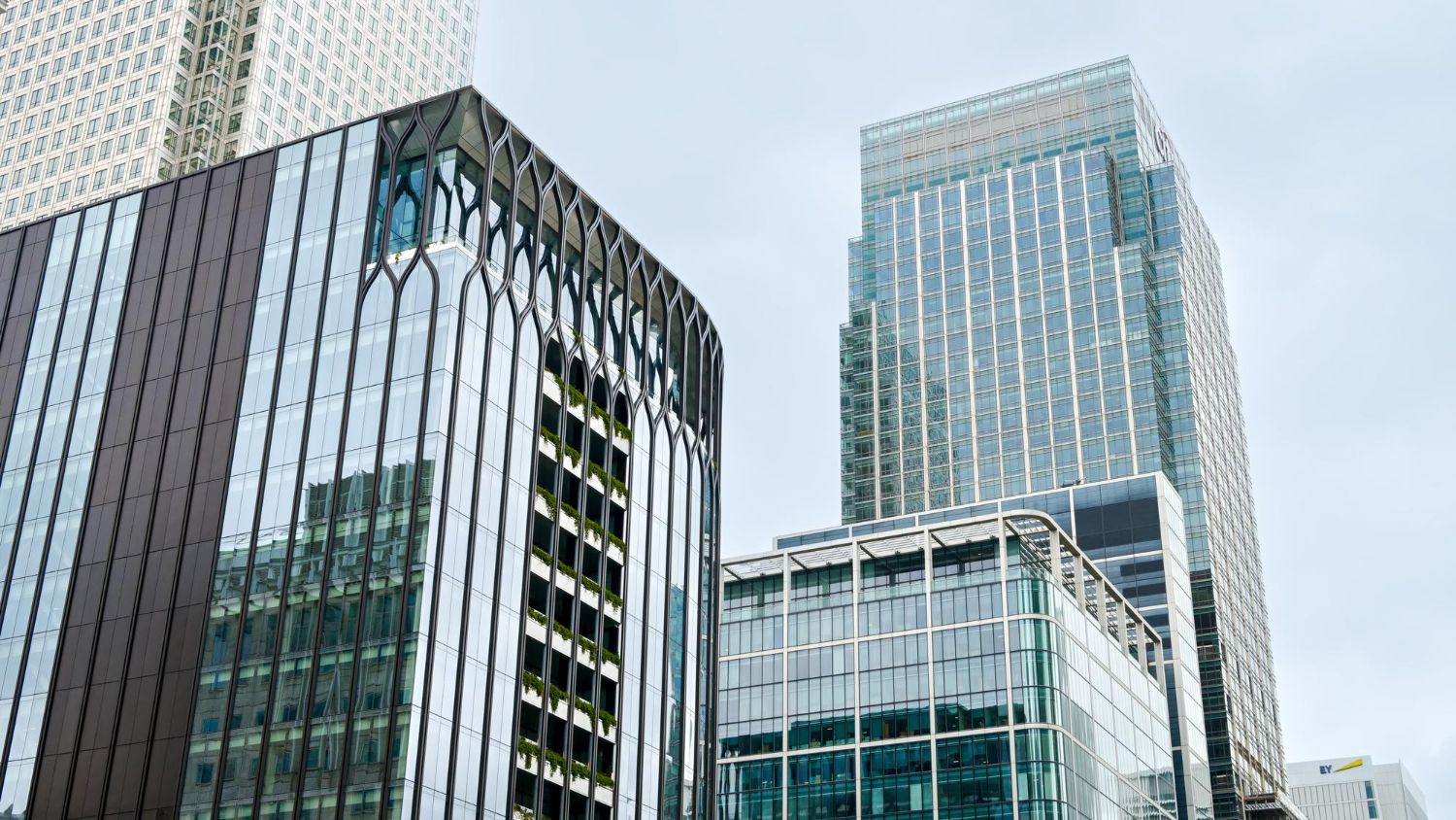 Two beagle dogs are sitting in the back of a vehicle.