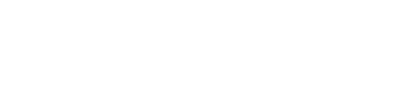 Rizikon Risk Management Solutions