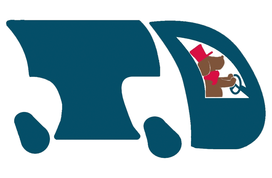 transporte de perros Leon