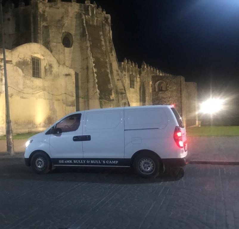 transporte de perros