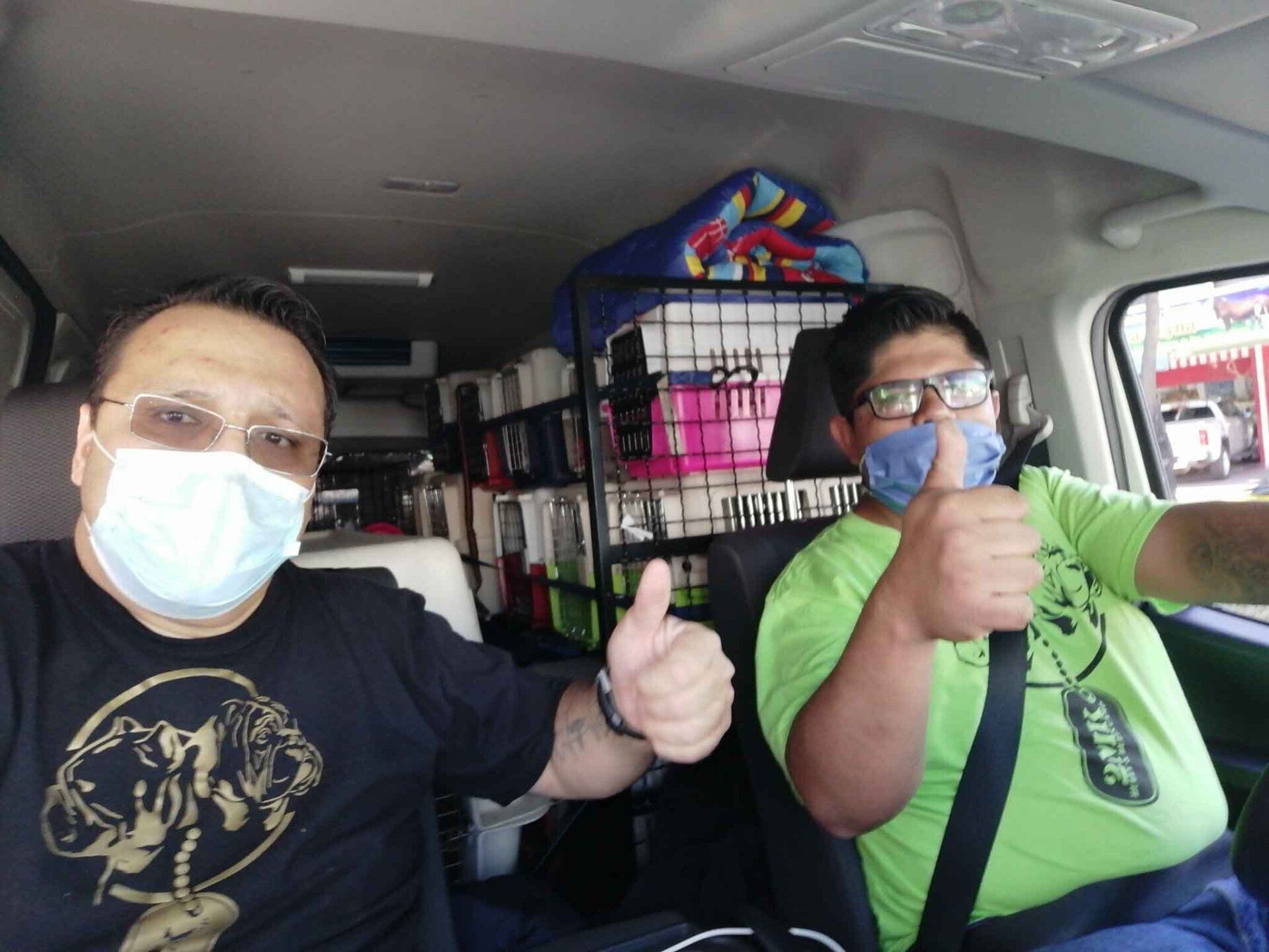 transporte de perros