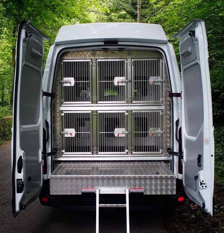 transporte de perros