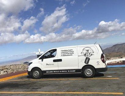 transporte de perros