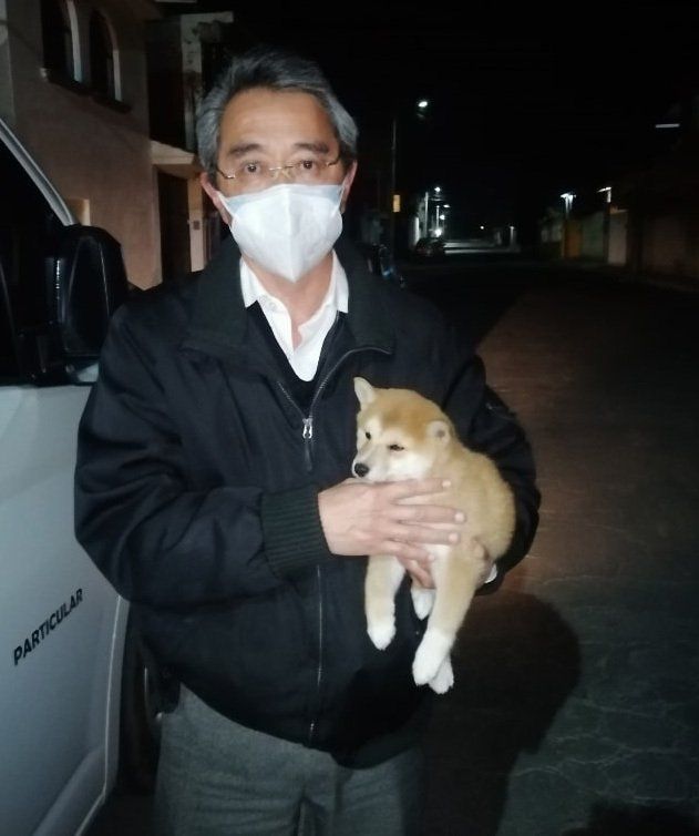 Transporte de Mascotas 2MK