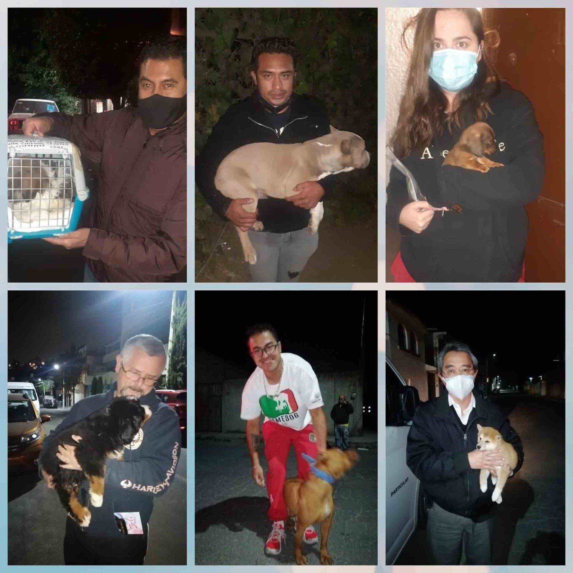 Transporte de Mascotas 2MK