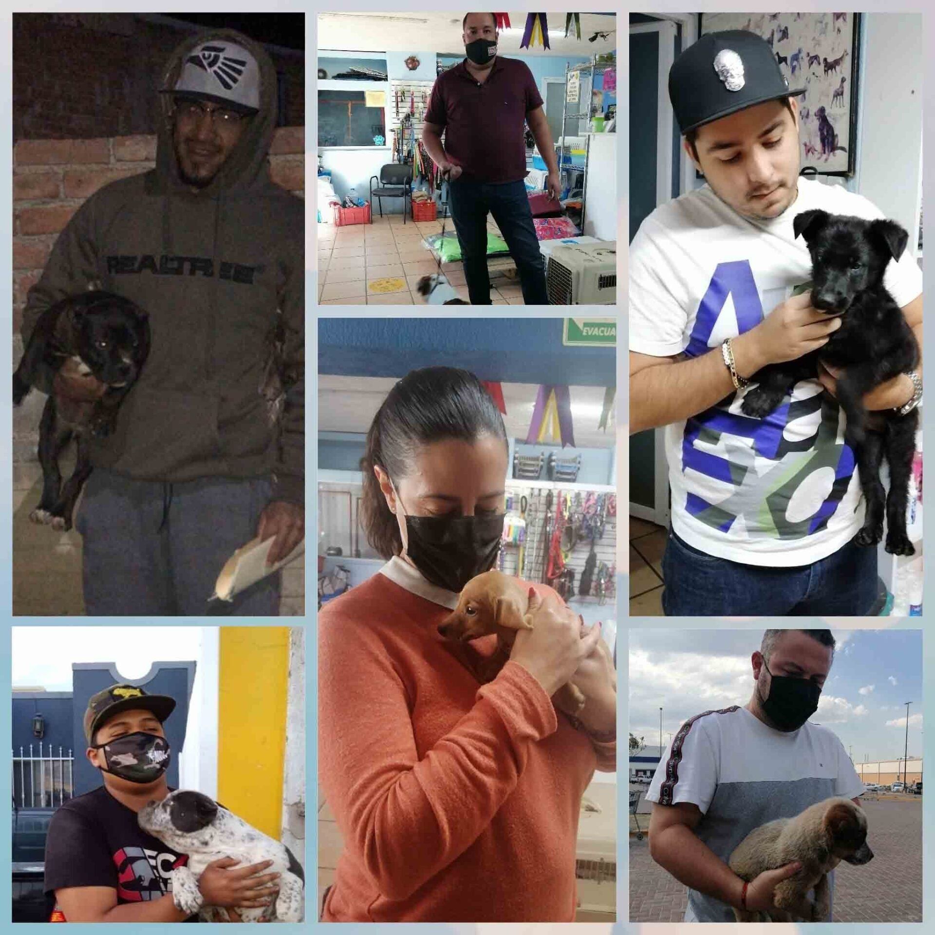 Transporte de Mascotas 2MK