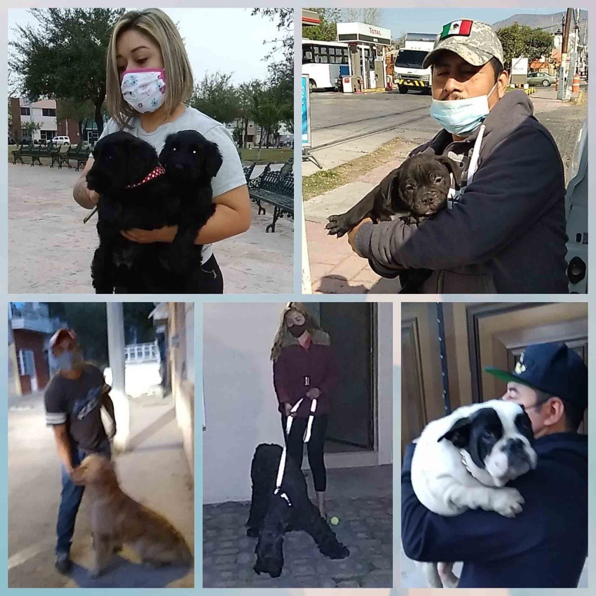 Transporte de Mascotas 2MK