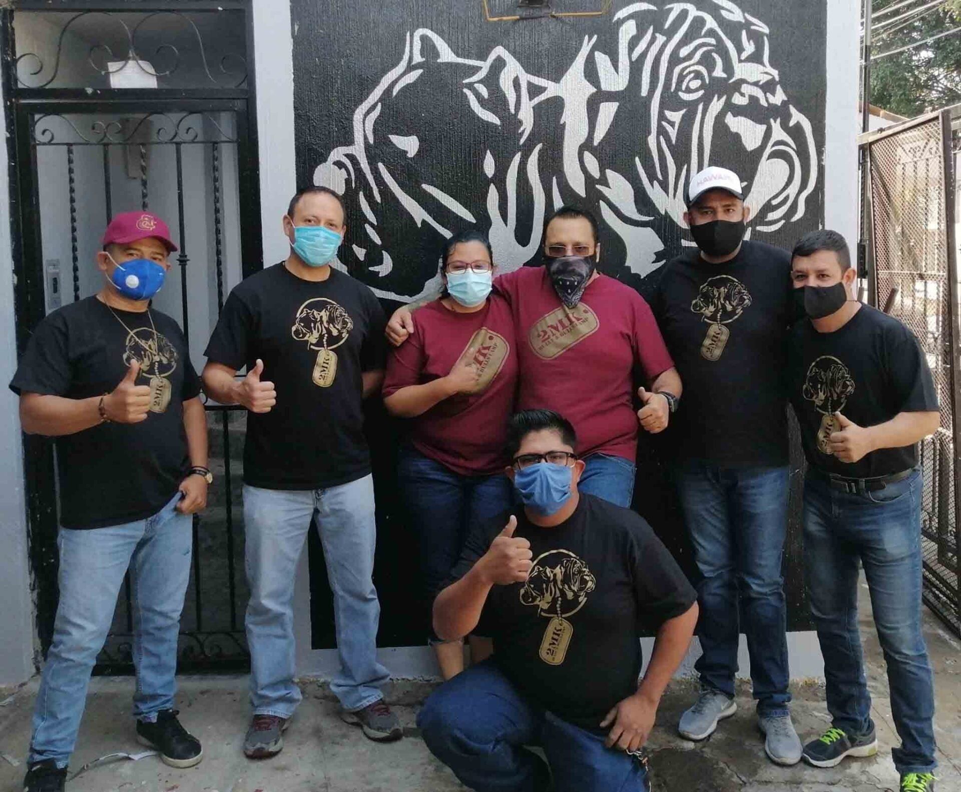 Transporte de Mascotas 2MK