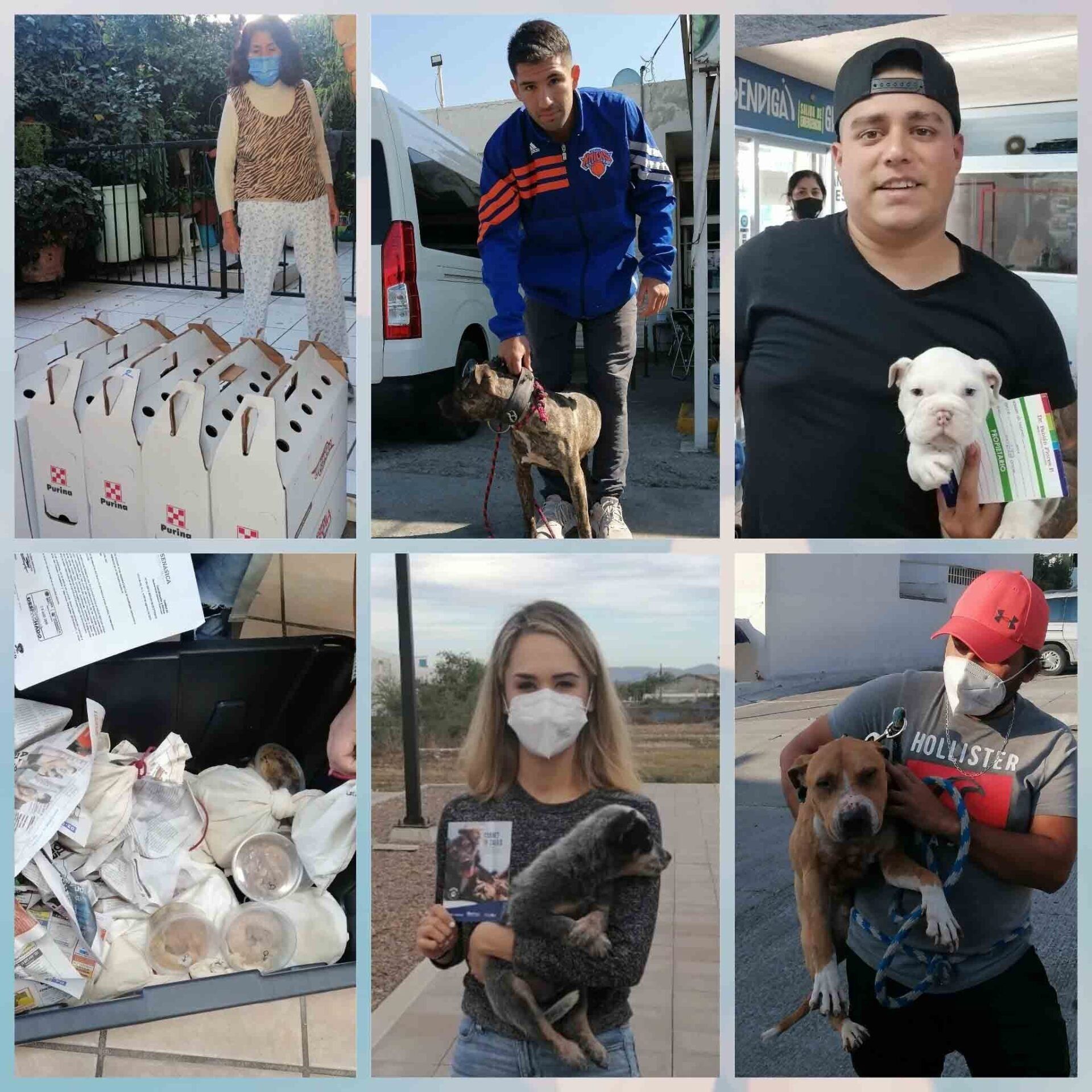 Transporte de Mascotas 2MK