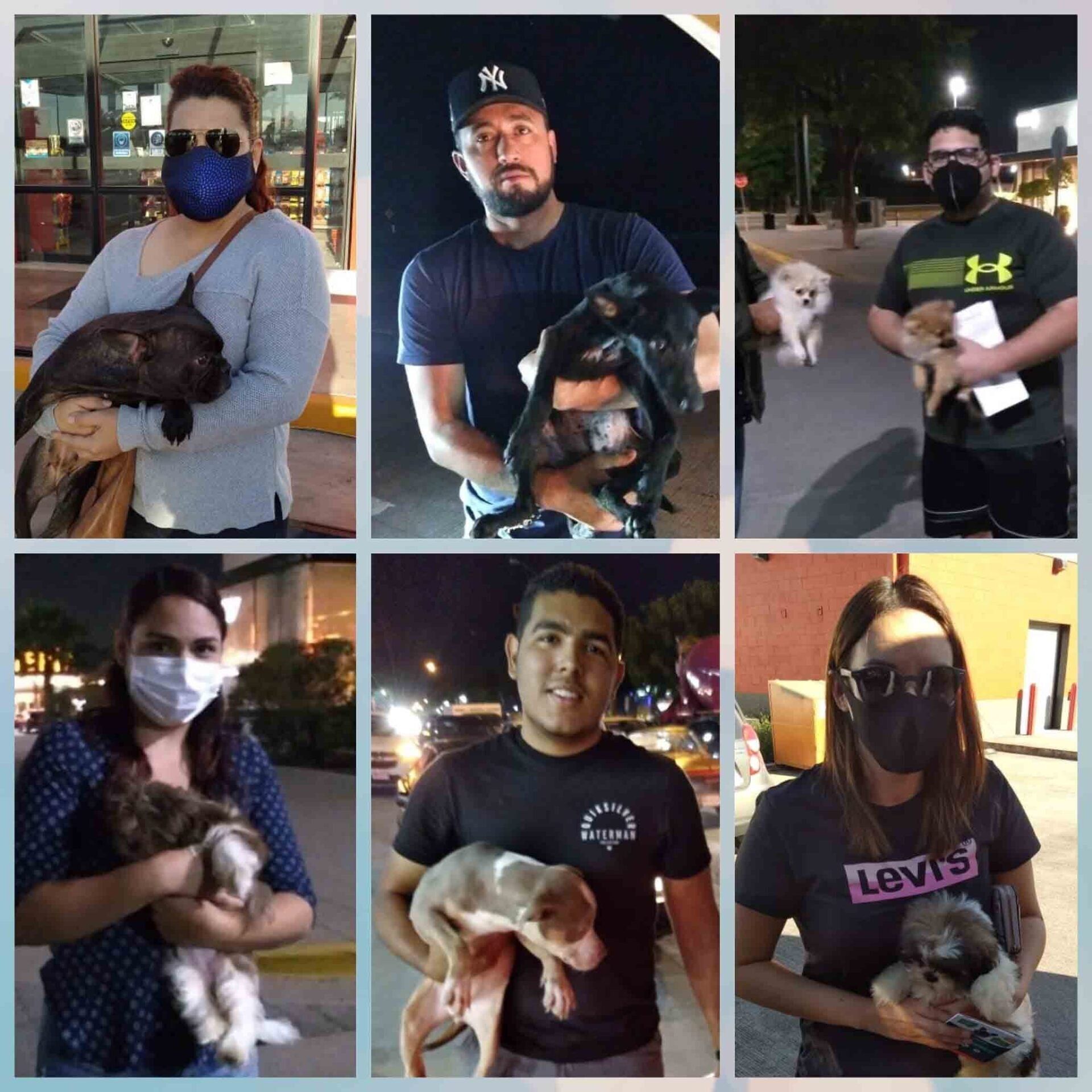 Transporte de Mascotas 2MK