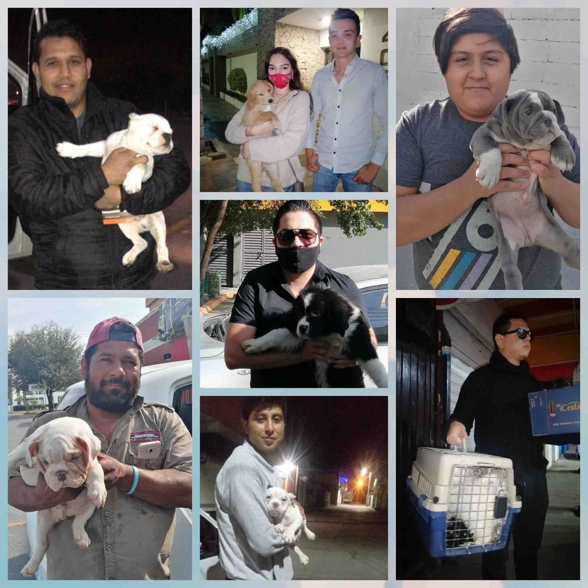 Transporte de Mascotas 2MK