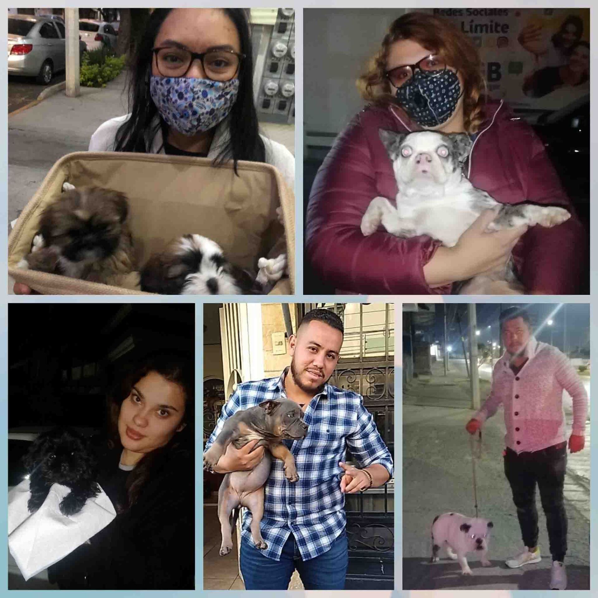 Transporte de Mascotas 2MK