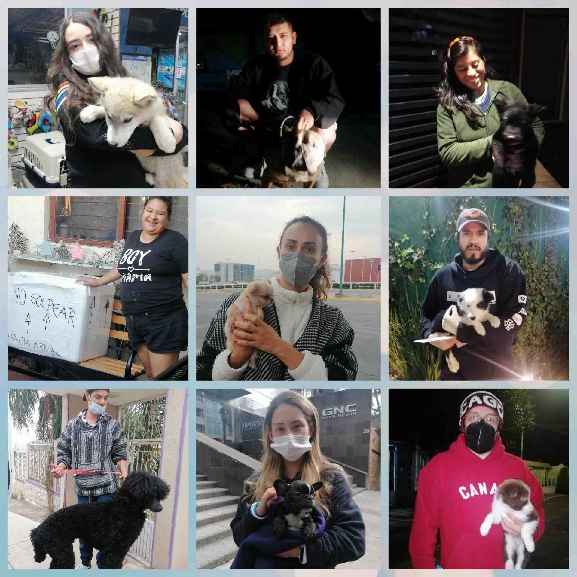 Transporte de Mascotas 2MK