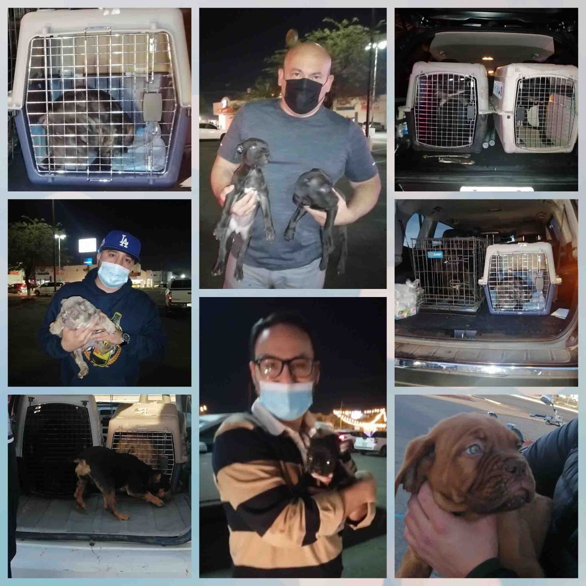 Transporte de Mascotas 2MK