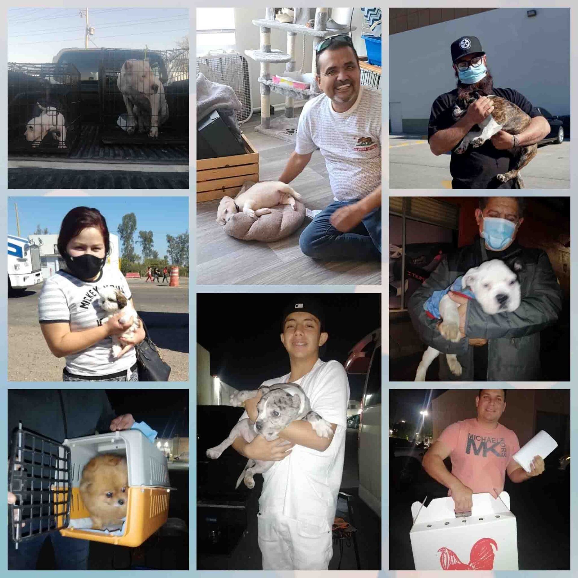 Transporte de Mascotas 2MK