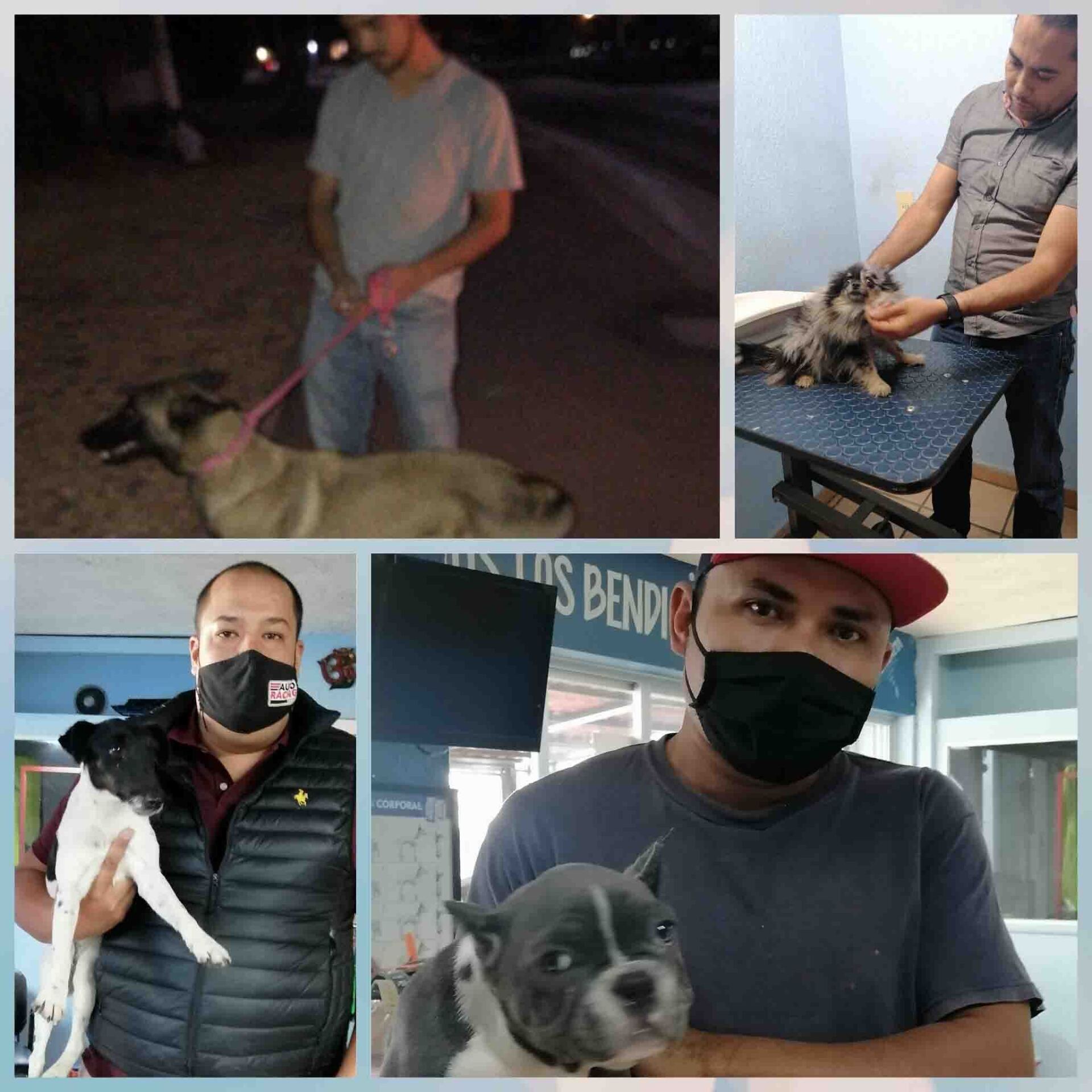 Transporte de Mascotas 2MK