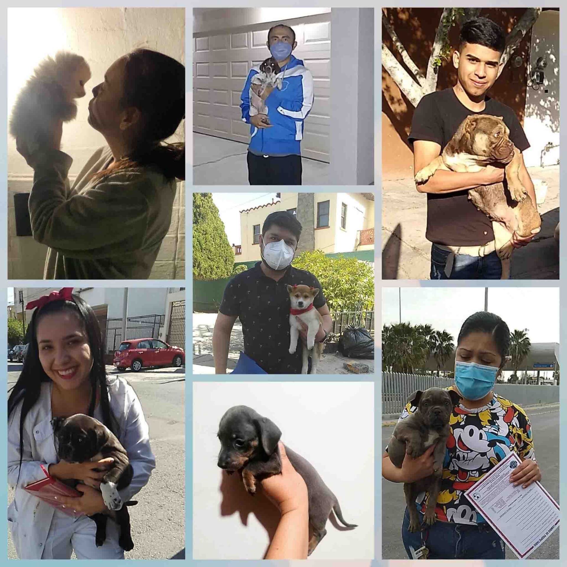 Transporte de Mascotas 2MK