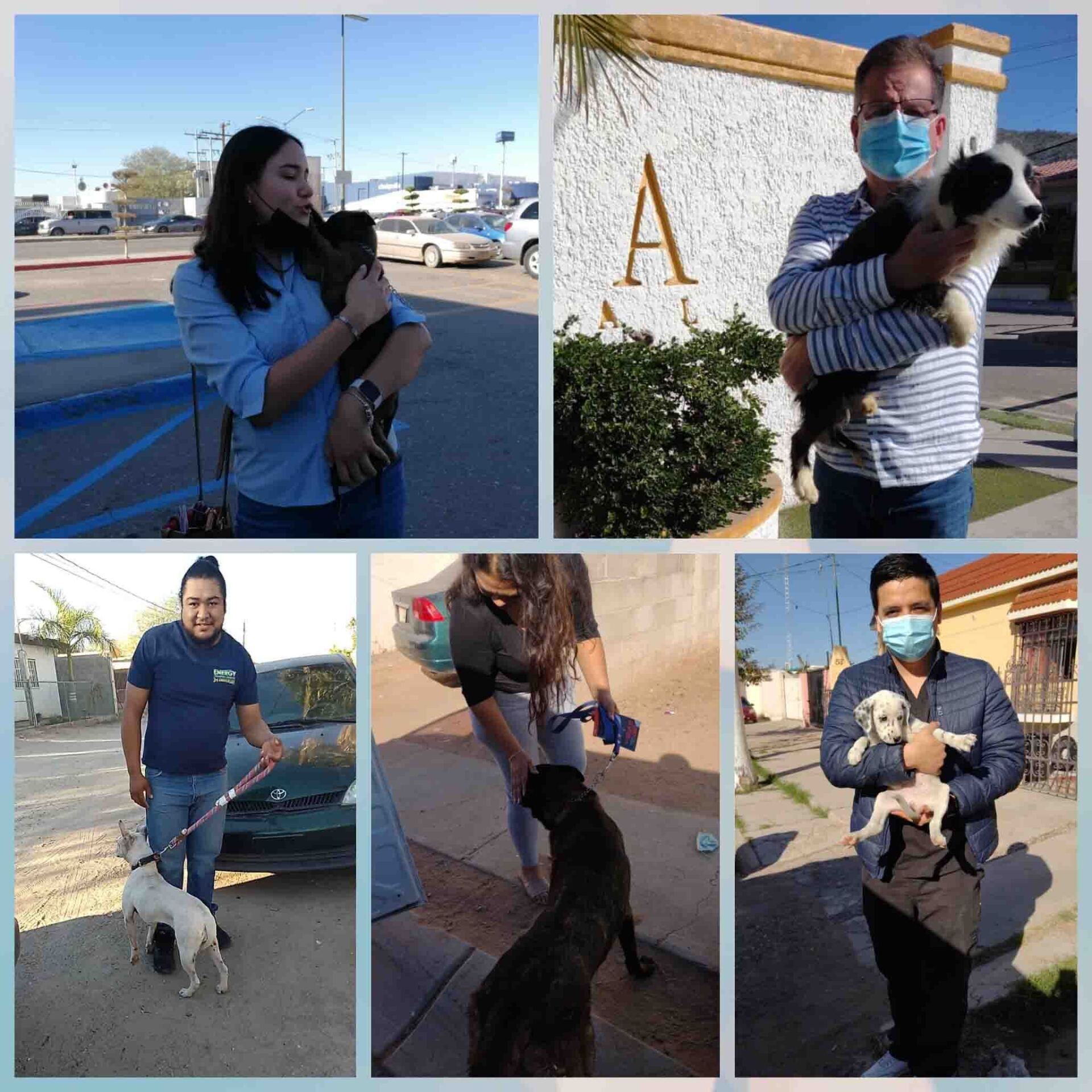 Transporte de Mascotas 2MK