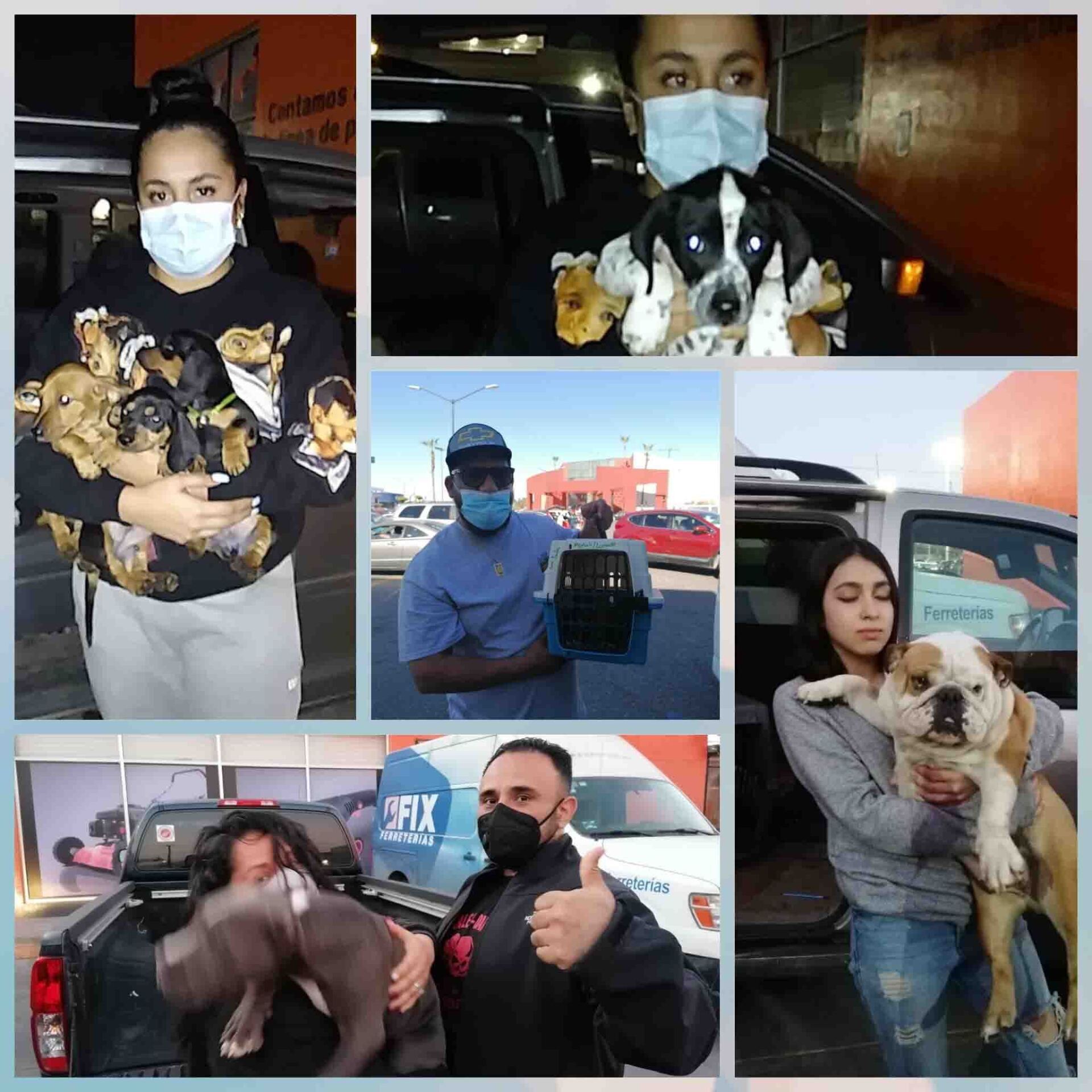 Transporte de Mascotas 2MK