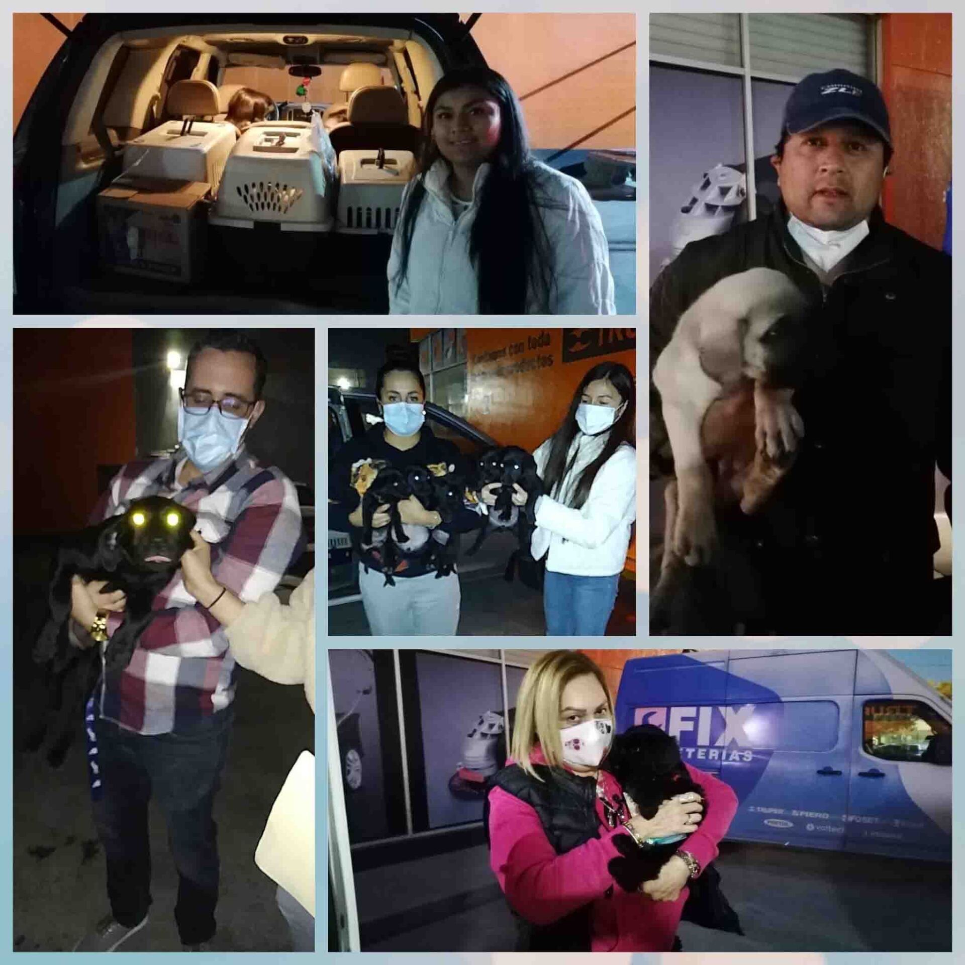 Transporte de Mascotas 2MK