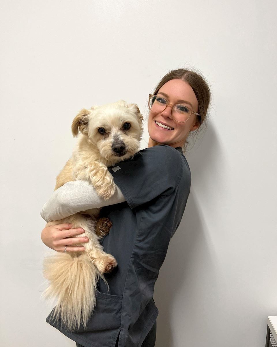 Veterinary Nurse