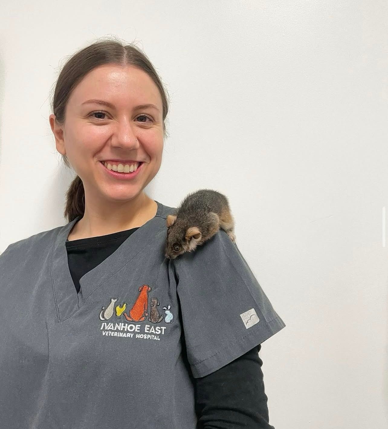Veterinary Nurse