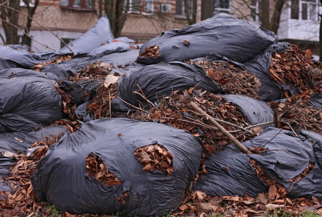 Black bags splitting and full of garden rubbish ready for collection by J&Z House Clearance Cardiff