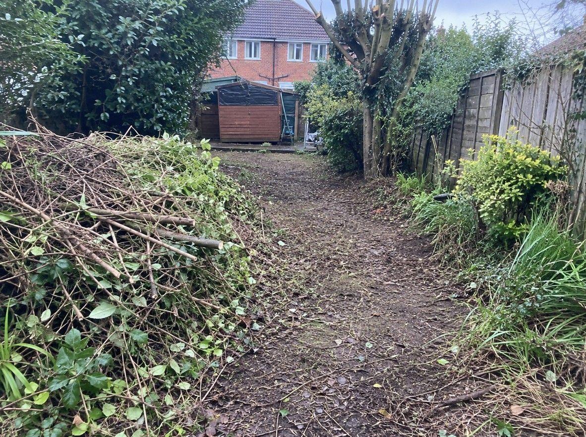 Overgrown garden being cleared in Rhiwbina