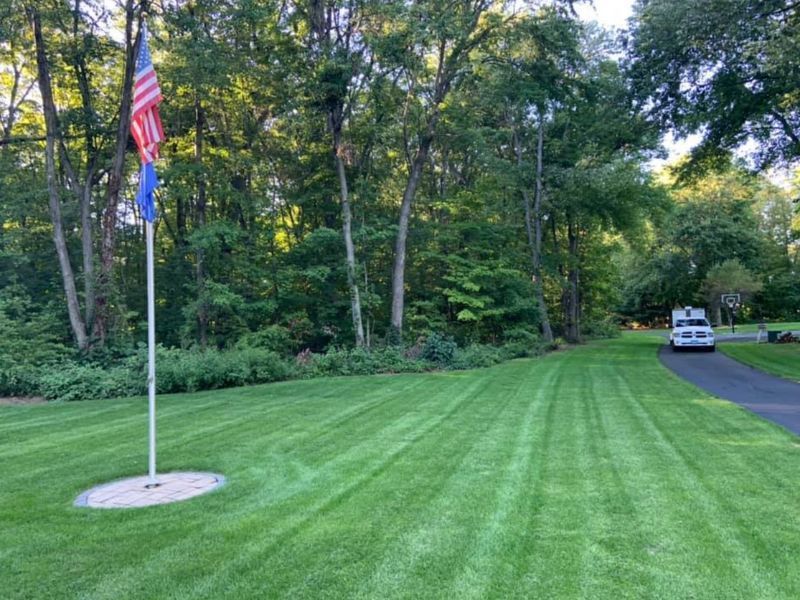 An american flag is flying in the middle of a lush green lawn.