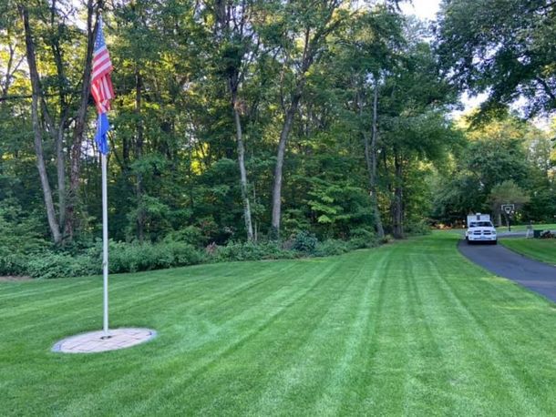 An american flag is flying in the middle of a lush green lawn.