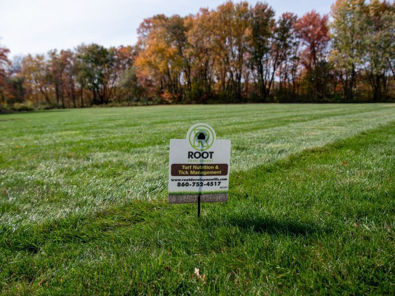A sign that says root is in the middle of a grassy field.