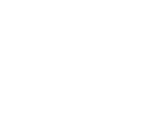Disaster Recovery Consultants LLC - White Logo