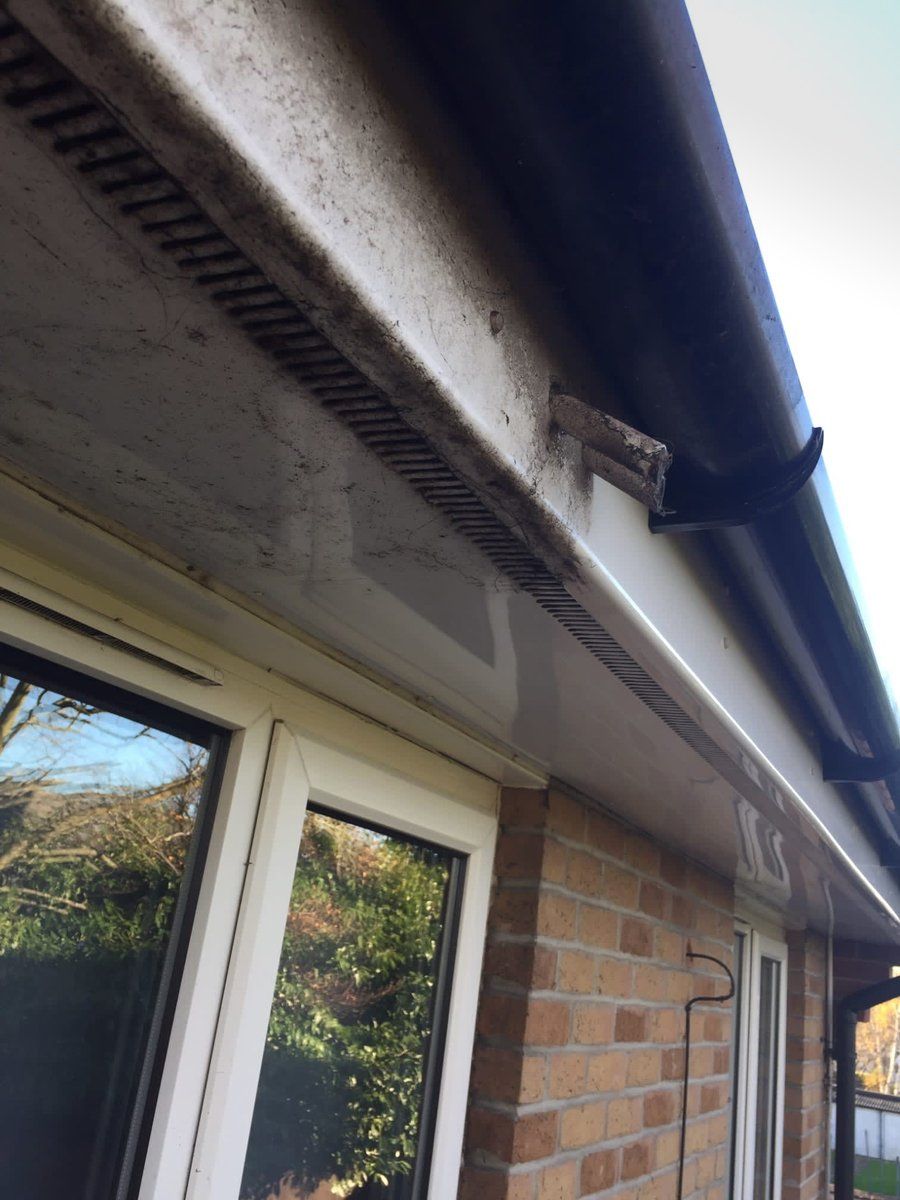 gutter cleaning