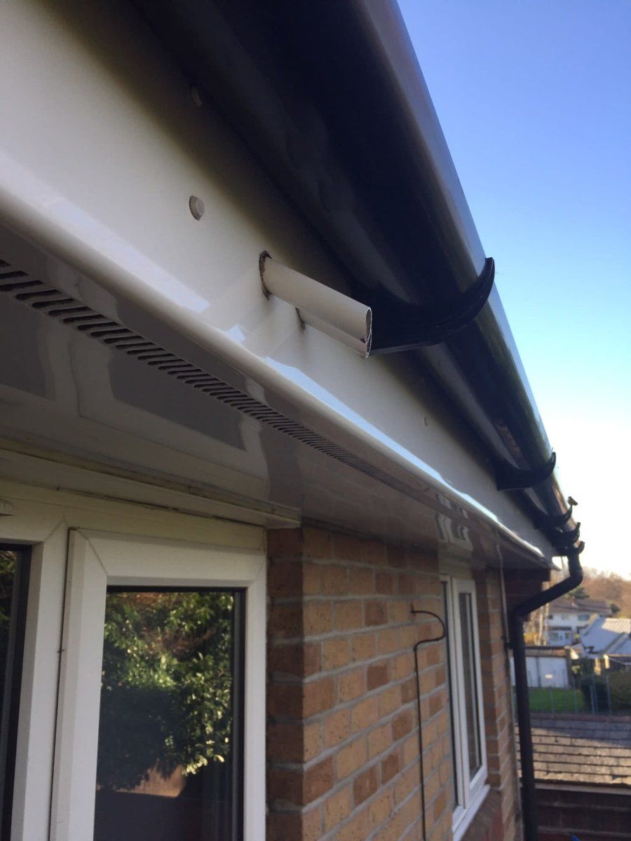 window and gutter cleaning