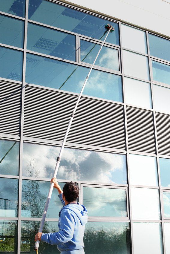 professional window cleaner
