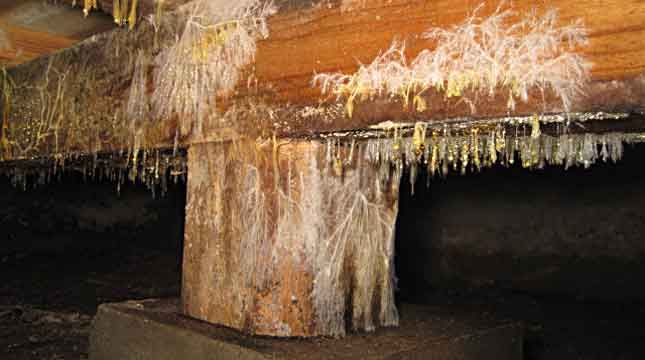 a cracked brick wall as a result of a foundation that needs repairs