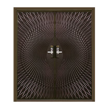 A pair of doors with a pattern on them on a white background.