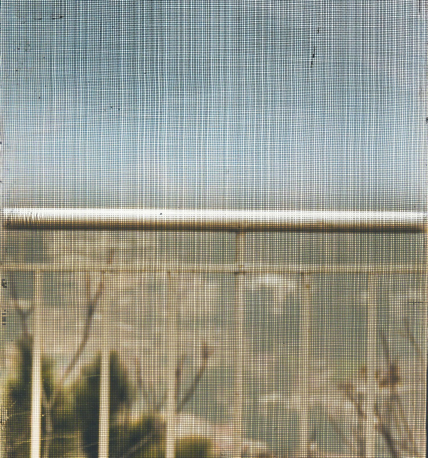 A close up of a screen door with a blue sky in the background.