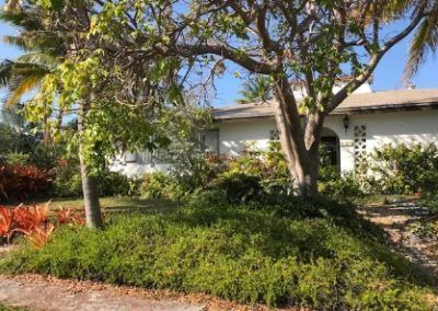 A white house with a tree in front of it