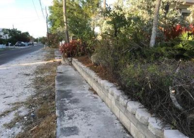 A sidewalk with a brick wall and bushes on the side of it.