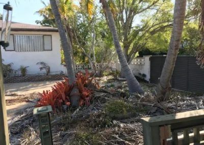 A white house with palm trees in front of it.