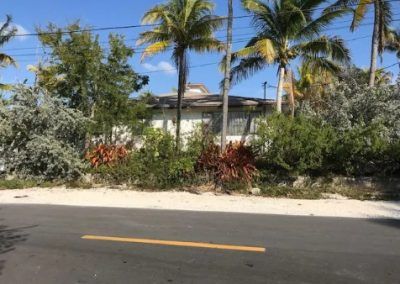 A road with palm trees on the side of it