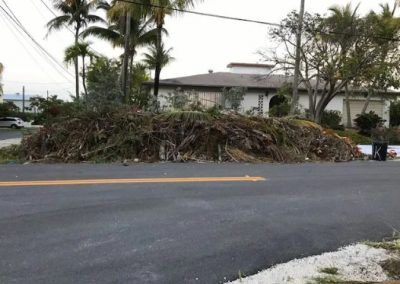 A pile of branches is sitting on the side of a road next to a house.
