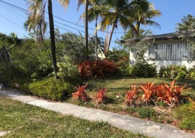 A house with a lot of plants in front of it