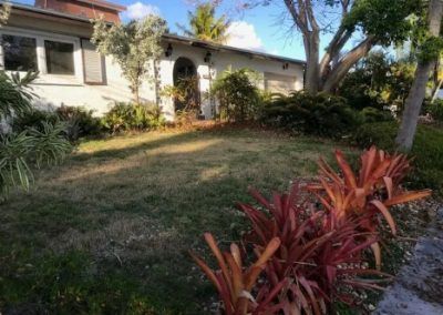 A white house with a large lawn and a lot of plants in front of it.