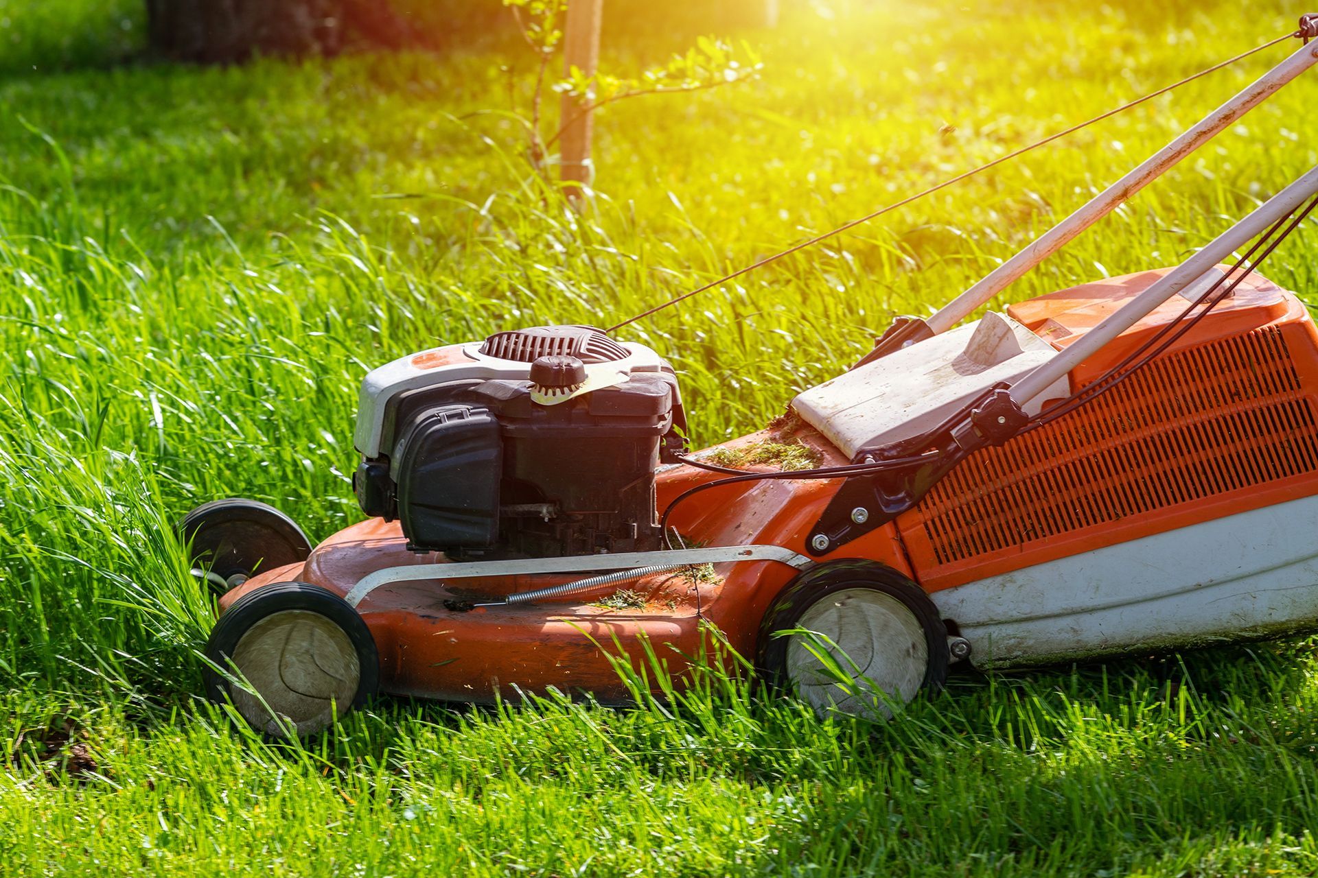 A lawn mower is cutting a lush green lawn.