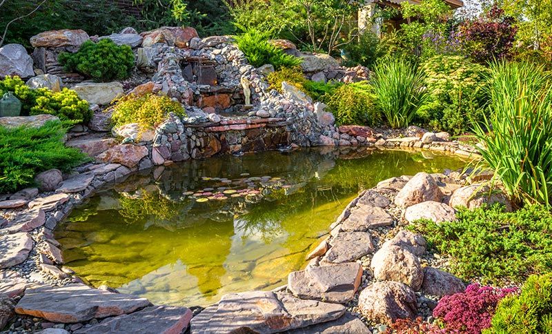 Landscaping with Small Pond — Colorado Springs, CO — Green Thumb Commercial Grounds Maintenance Inc.