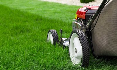 Green discount thumb mowers