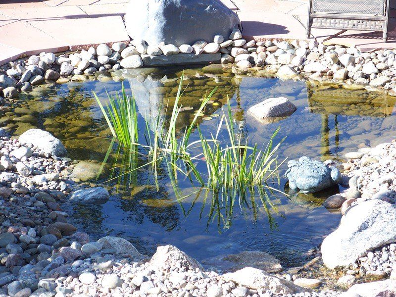 Small Pond — Colorado Springs, CO — Green Thumb Commercial Grounds Maintenance Inc.