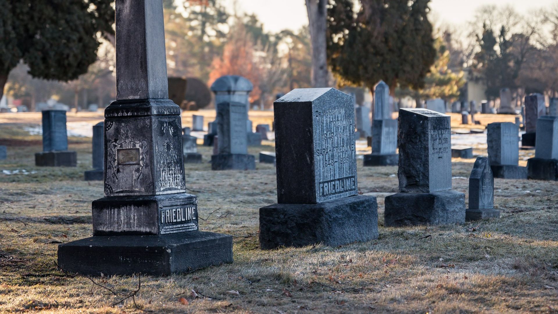 Cemetery Site - Claim Expenses